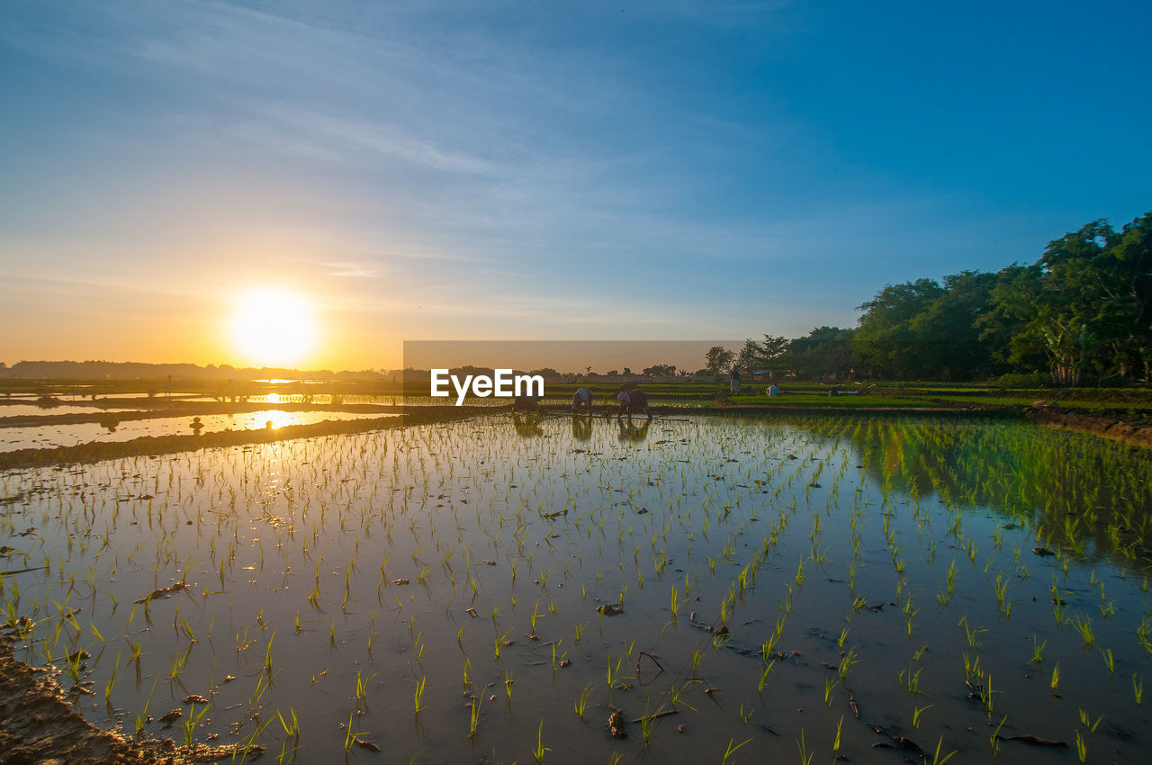 VIEW OF LAKE AGAINST SKY DURING SUNSET