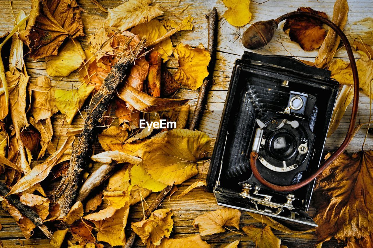 Directly above shot of old camera with fallen autumn leaves on table