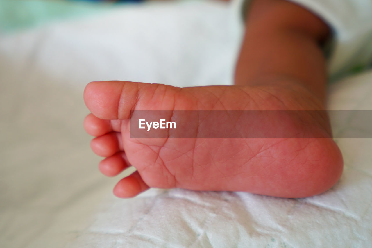 Low section of baby feet