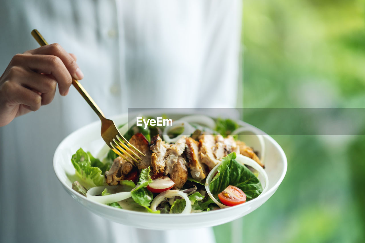 food, food and drink, vegetable, healthy eating, wellbeing, hand, salad, one person, dish, meal, holding, produce, freshness, bowl, kitchen utensil, green, cuisine, adult, eating utensil, plate, indoors, fork, lettuce, meat, salad bowl, lifestyles, dinner, crockery, focus on foreground, lunch