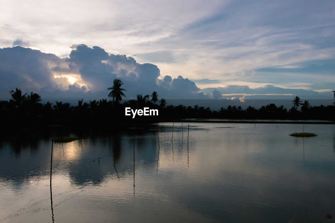 SCENIC VIEW OF LAKE BY TREES AGAINST SKY