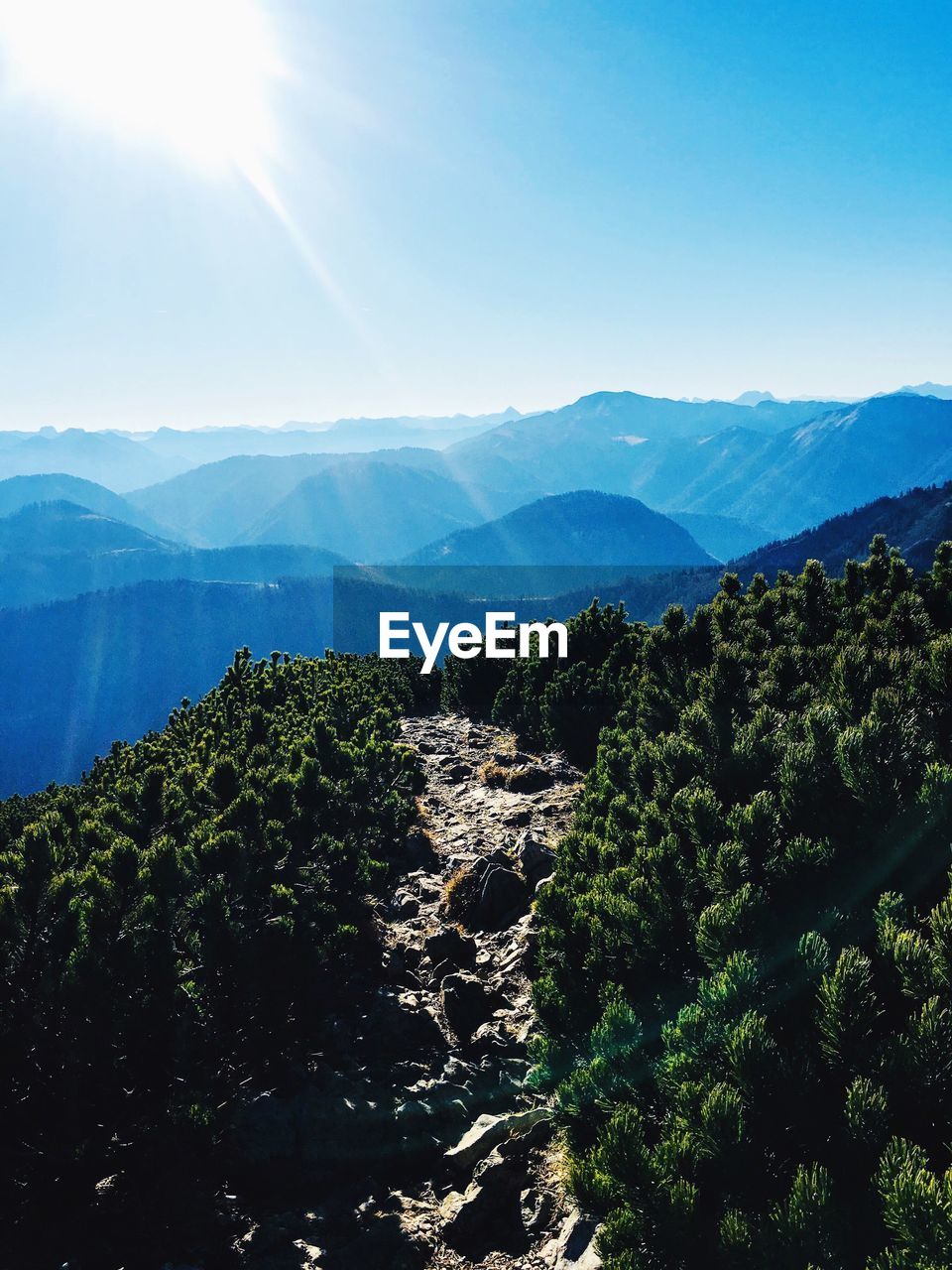 High angle view of plants and mountains against sky