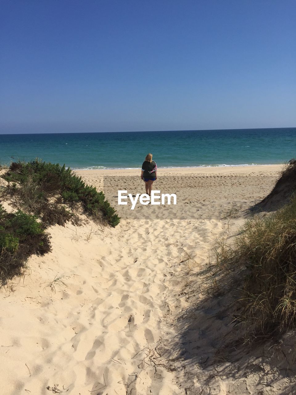 REAR VIEW OF MAN ON BEACH