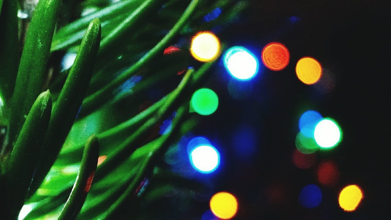 DEFOCUSED IMAGE OF LIGHTS