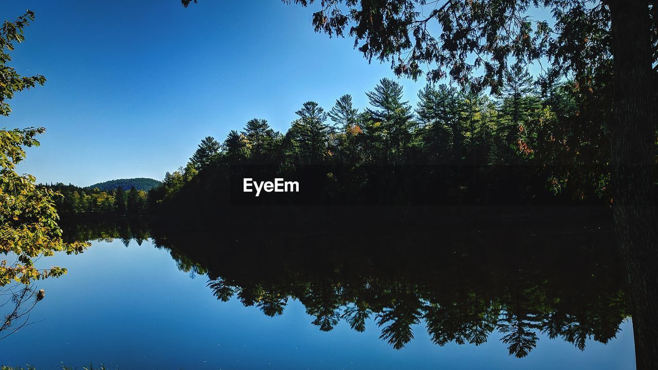 Reflection of trees in lake against sky