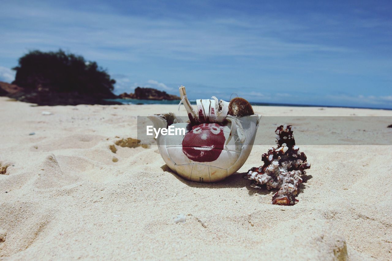 CLOSE-UP OF SHELL ON SAND AT BEACH