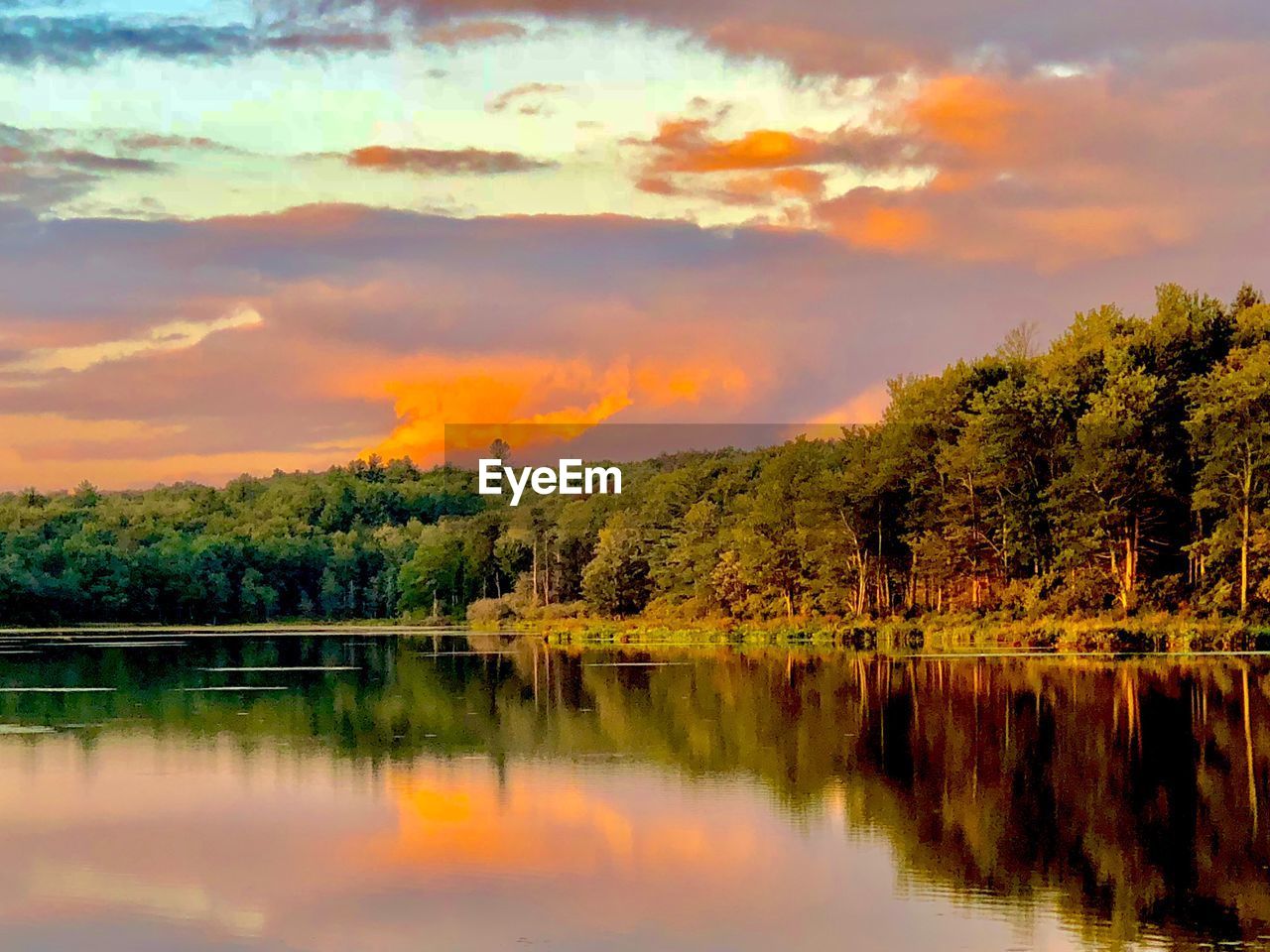 SCENIC VIEW OF LAKE BY TREES AGAINST SKY DURING SUNSET