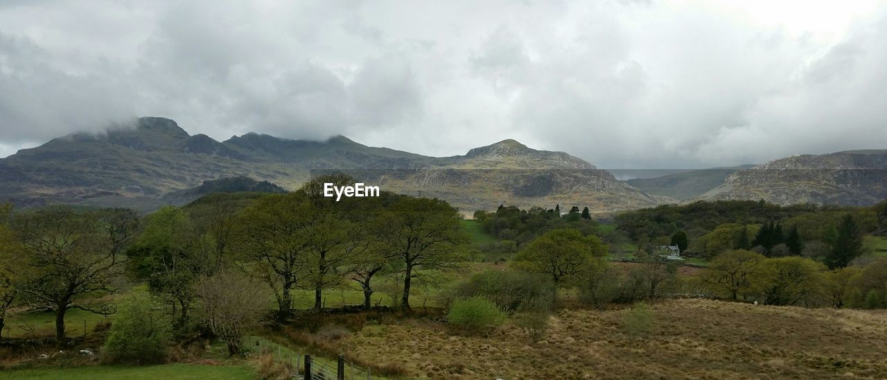 Trees on countryside landscape against mountains