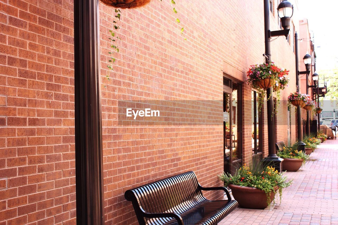 POTTED PLANTS ON WINDOW