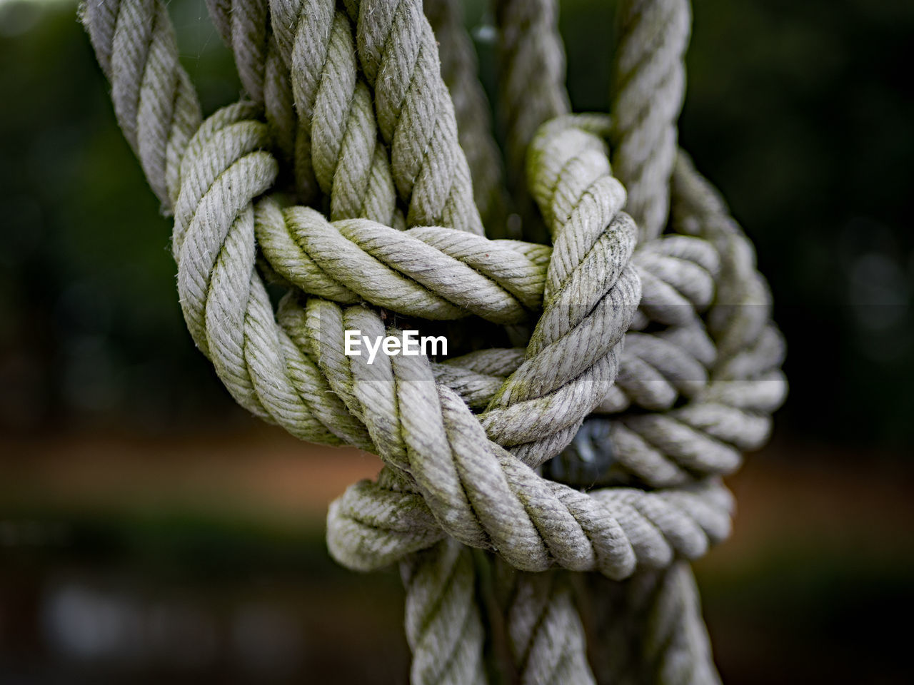 Close-up of tied up ropes
