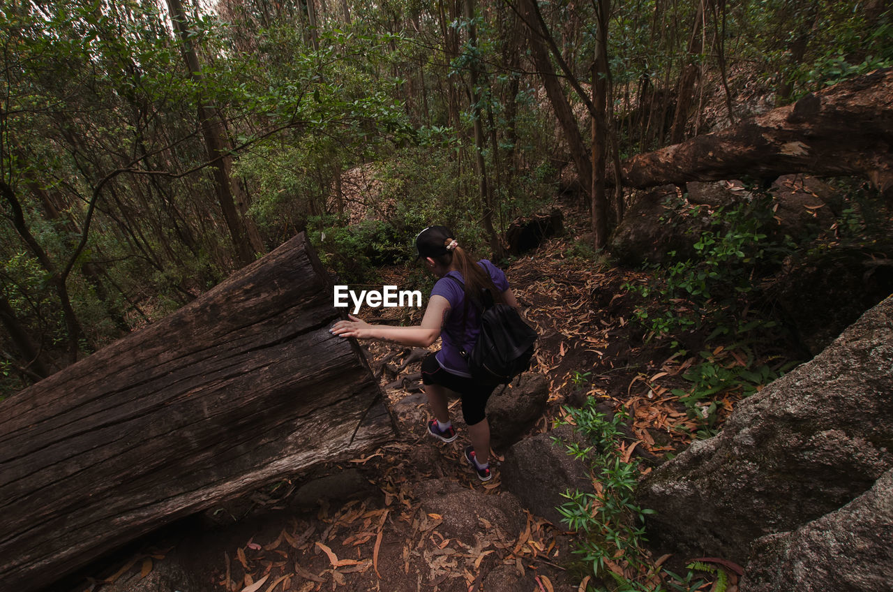 High angle view of woman in forest