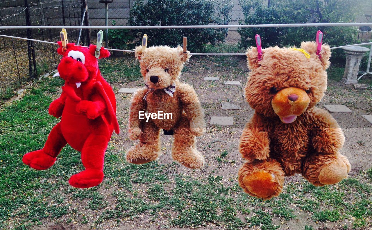 Stuffed toys hanging from clotheslines in yard