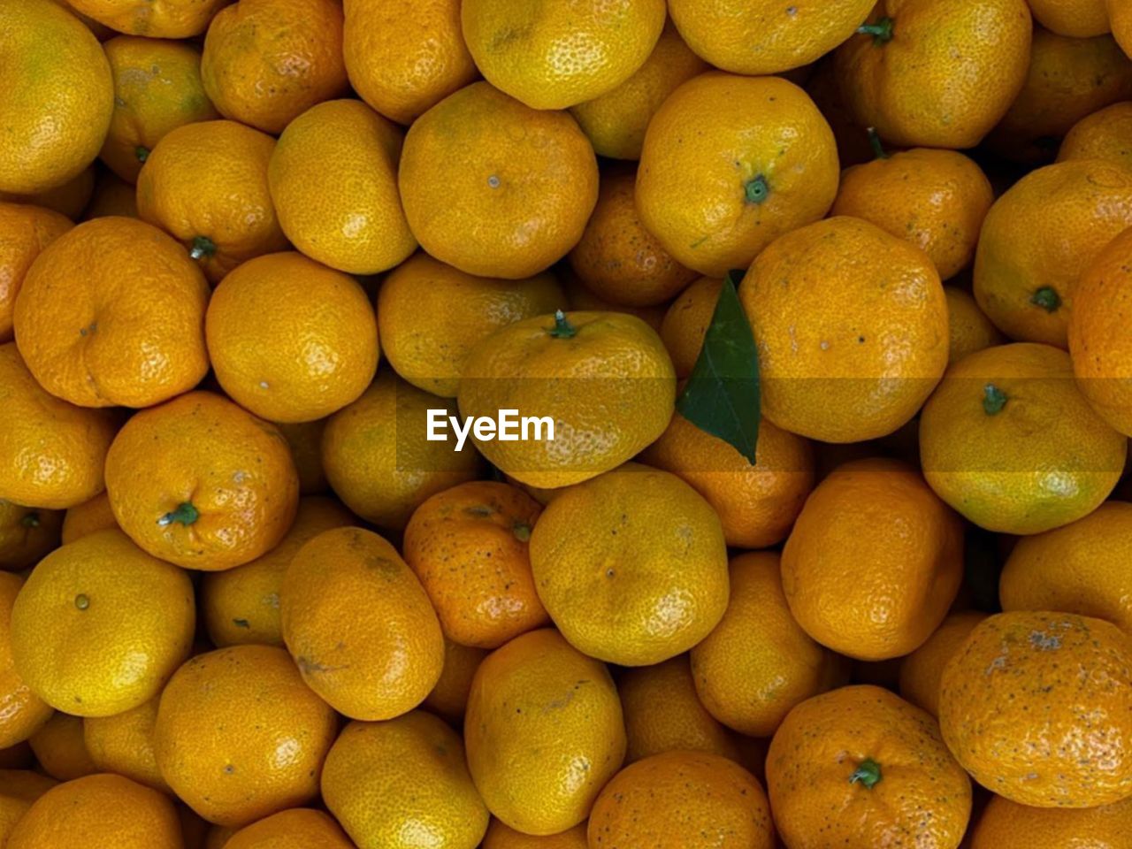 Full frame shot of oranges