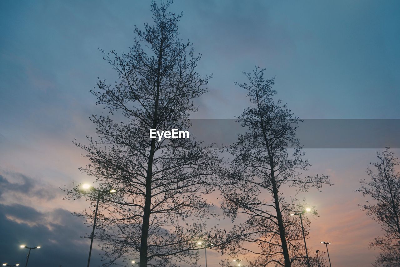 LOW ANGLE VIEW OF SILHOUETTE TREES AGAINST SKY AT SUNSET