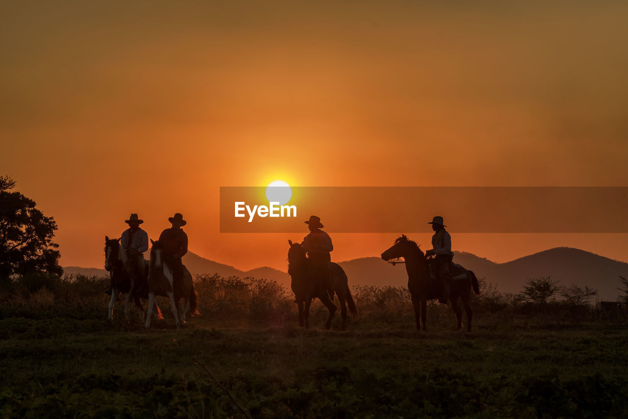 GROUP OF PEOPLE RIDING HORSES ON FIELD AGAINST SKY DURING SUNSET