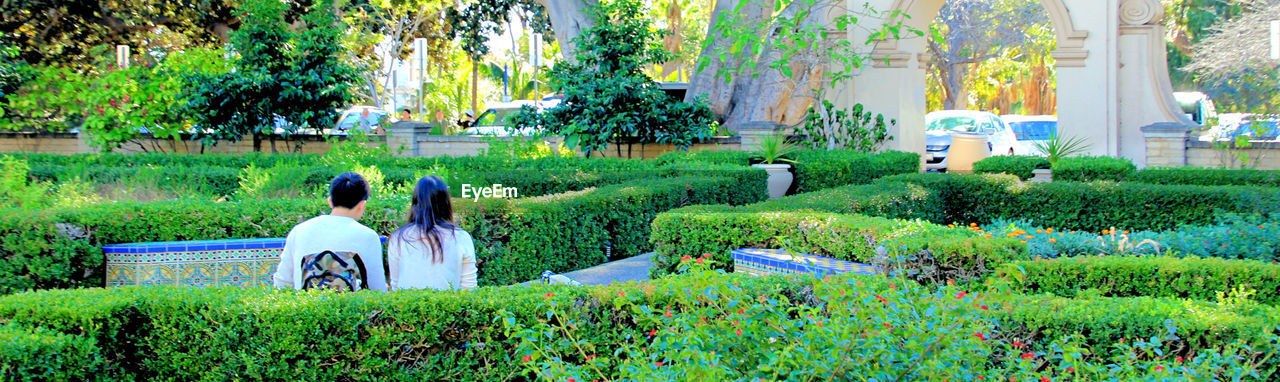plant, flower, growth, green, nature, garden, women, day, lawn, tree, adult, men, grass, lifestyles, backyard, two people, rear view, woodland, outdoors, land, field, park, togetherness, beauty in nature, park - man made space, meadow, leisure activity