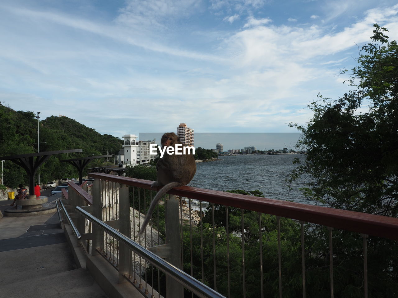 VIEW OF BRIDGE OVER RIVER AGAINST SKY