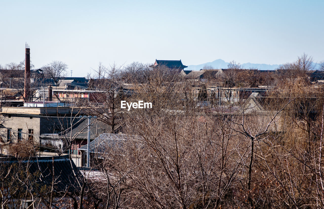 HOUSES AGAINST BARE TREES AGAINST CLEAR SKY