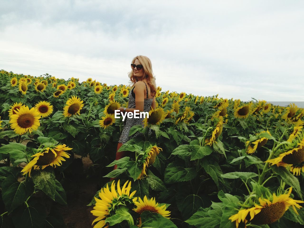 Side view of woman standing in sunflower field against sky