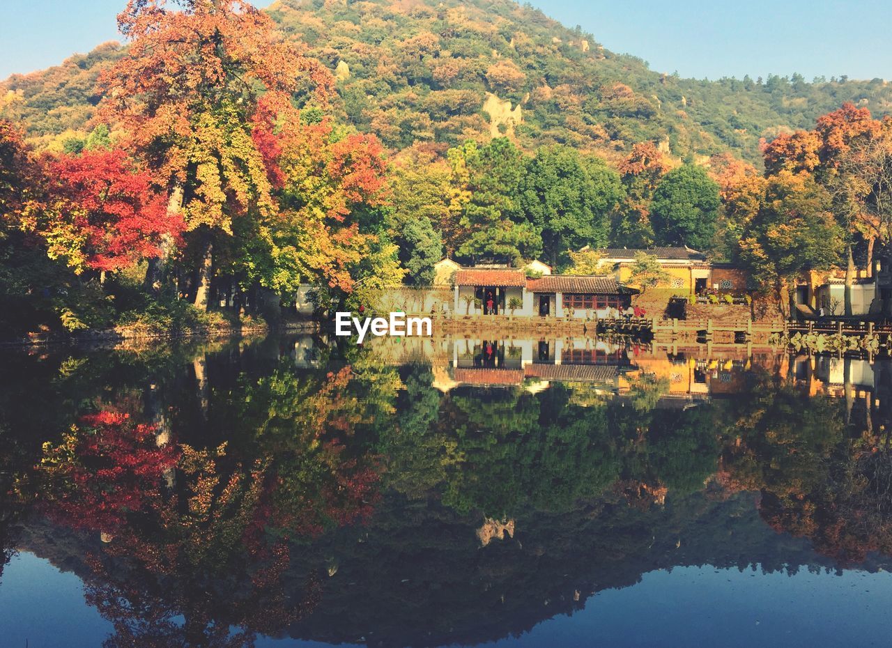 Scenic view of lake by trees during autumn