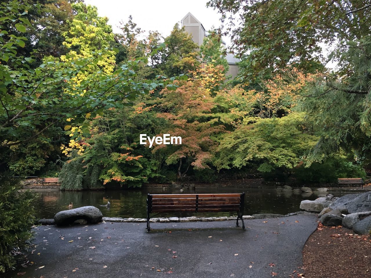 Scenic view of empty bench next to pond