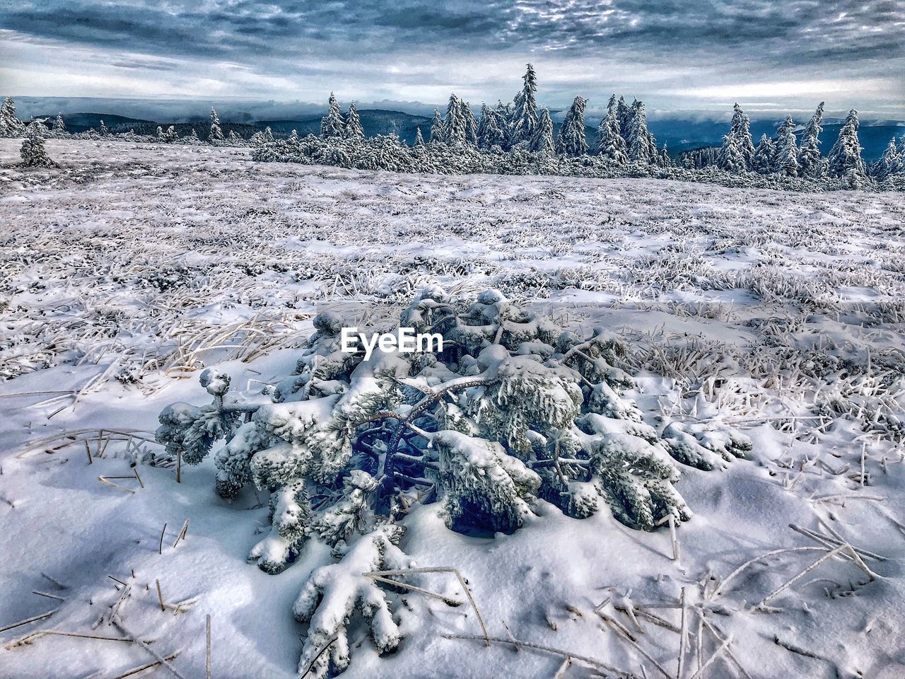 Scenic view of snow covered land against sky