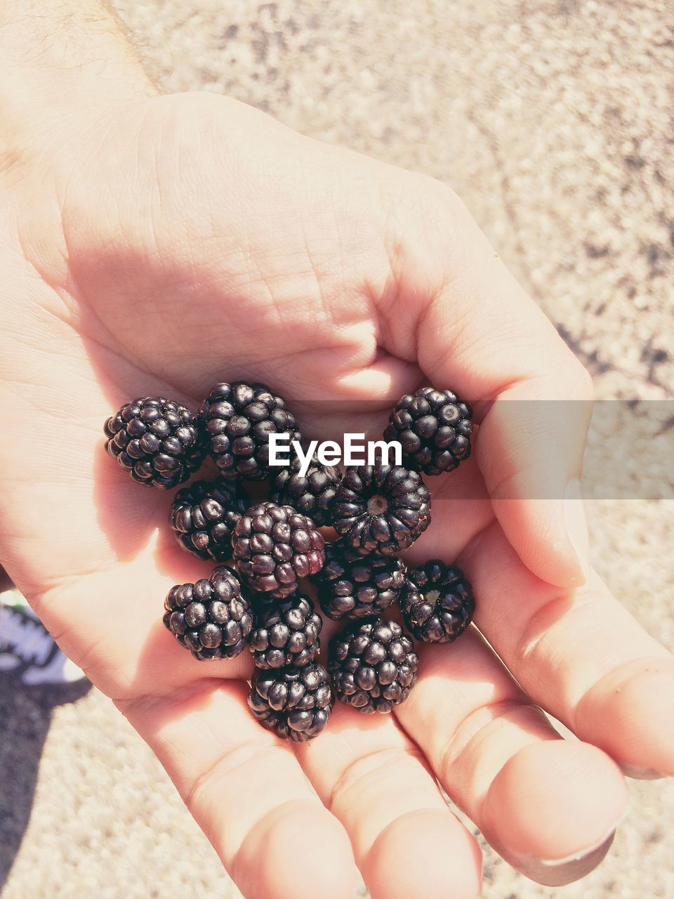 CLOSE-UP OF HAND HOLDING STRAWBERRY