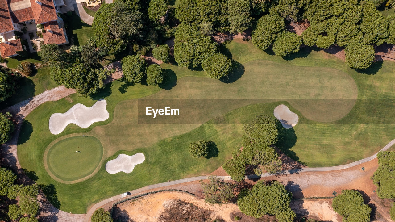 HIGH ANGLE VIEW OF GOLF COURSE BY TREE