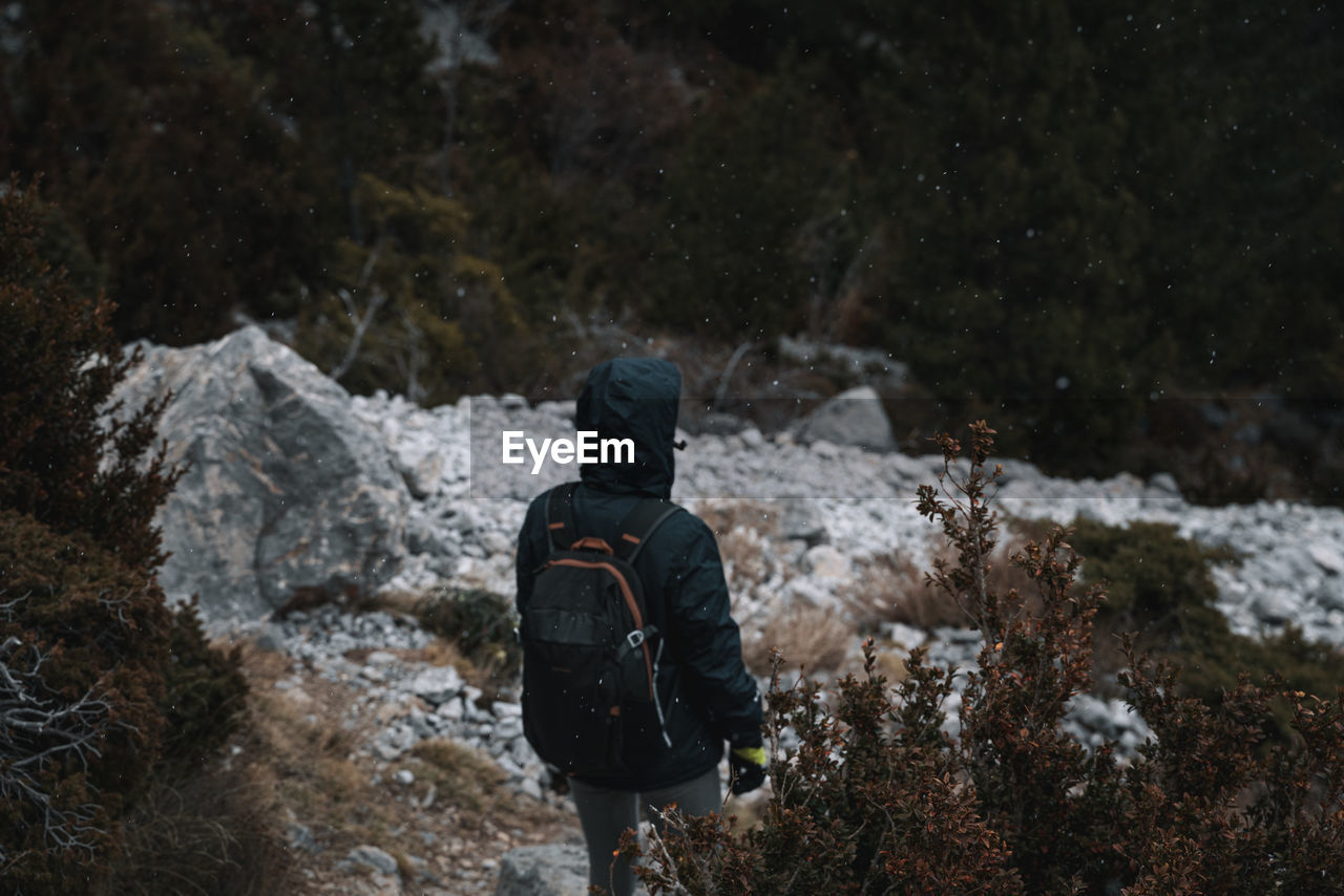 Rear view of person standing on snow covered land