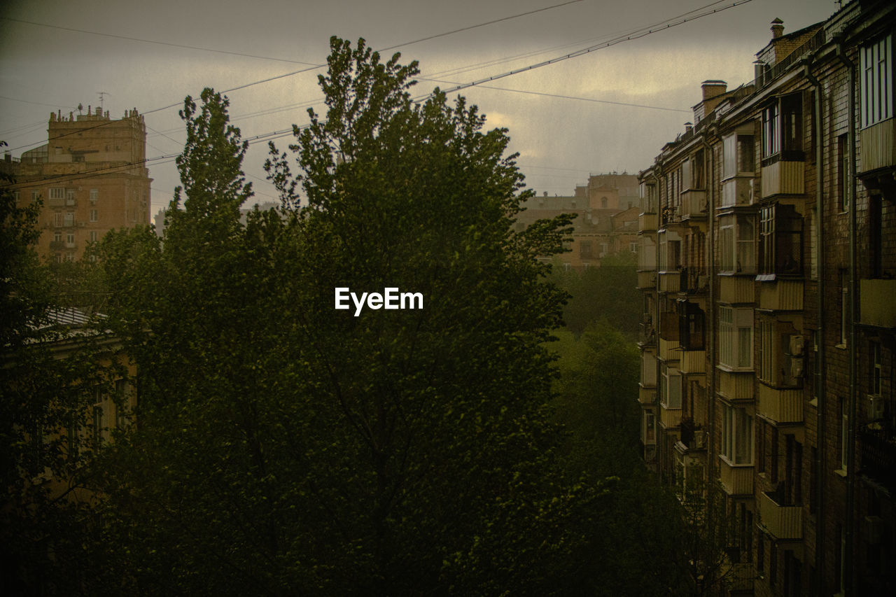 TREES AND BUILDINGS IN CITY AGAINST SKY