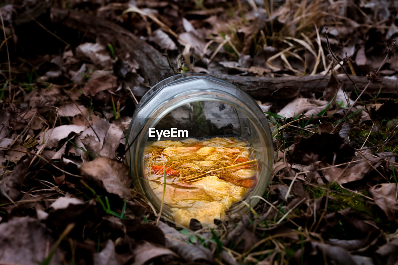Jar of rotten food thrown in the woods