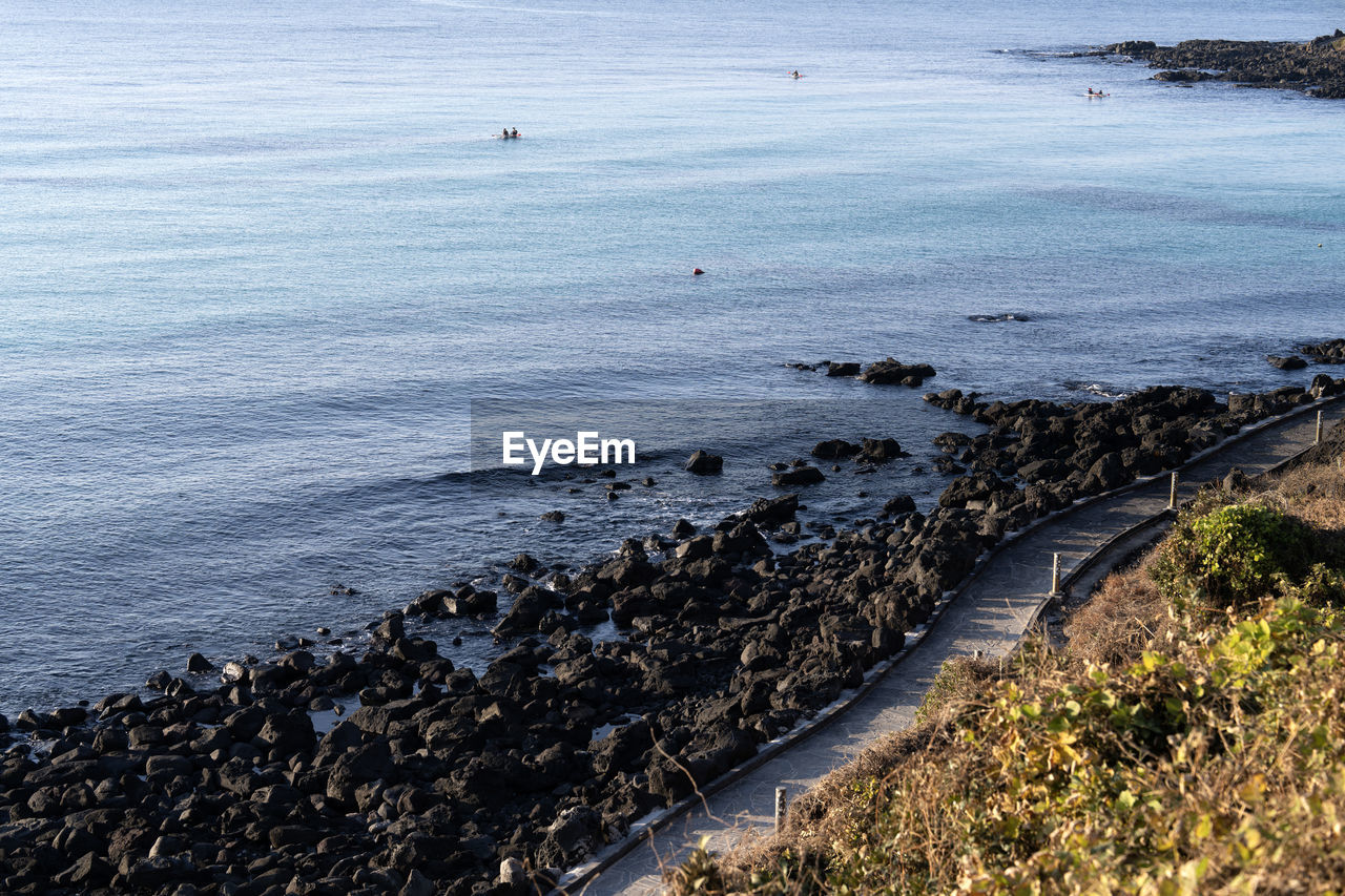 water, shore, coast, sea, body of water, ocean, land, horizon, beach, nature, wave, beauty in nature, scenics - nature, tranquility, cliff, rock, day, no people, terrain, high angle view, bay, tranquil scene, outdoors, animal, animal themes, animal wildlife, non-urban scene, coastline, sky, travel destinations, travel, environment, idyllic, wildlife