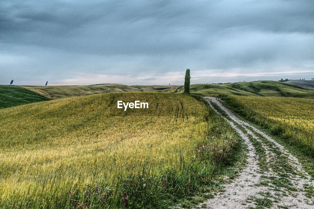 SCENIC VIEW OF LAND AGAINST SKY