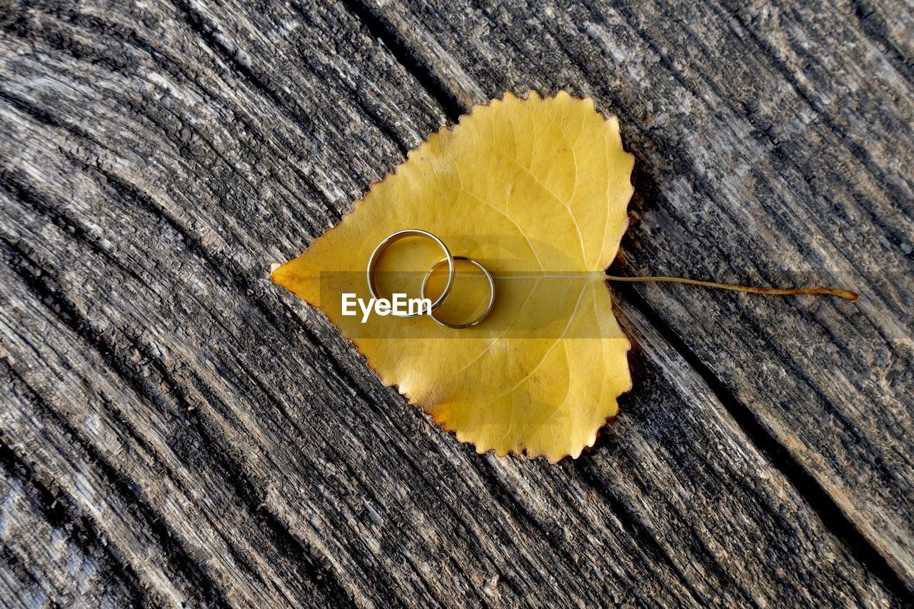 Directly above shot of rings with yellow leaf on wood