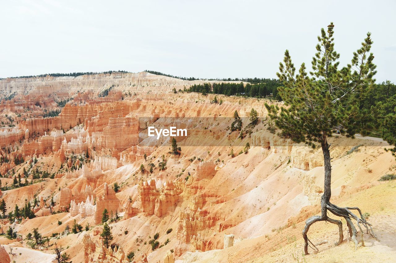 Scenic view of landscape against clear sky