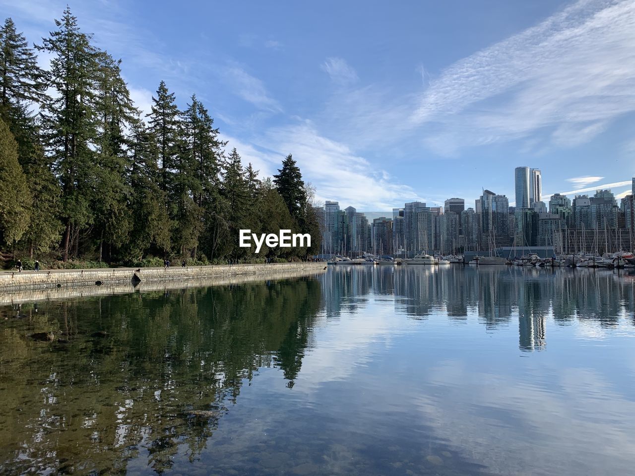 The beautiful contrasts of vancouver 