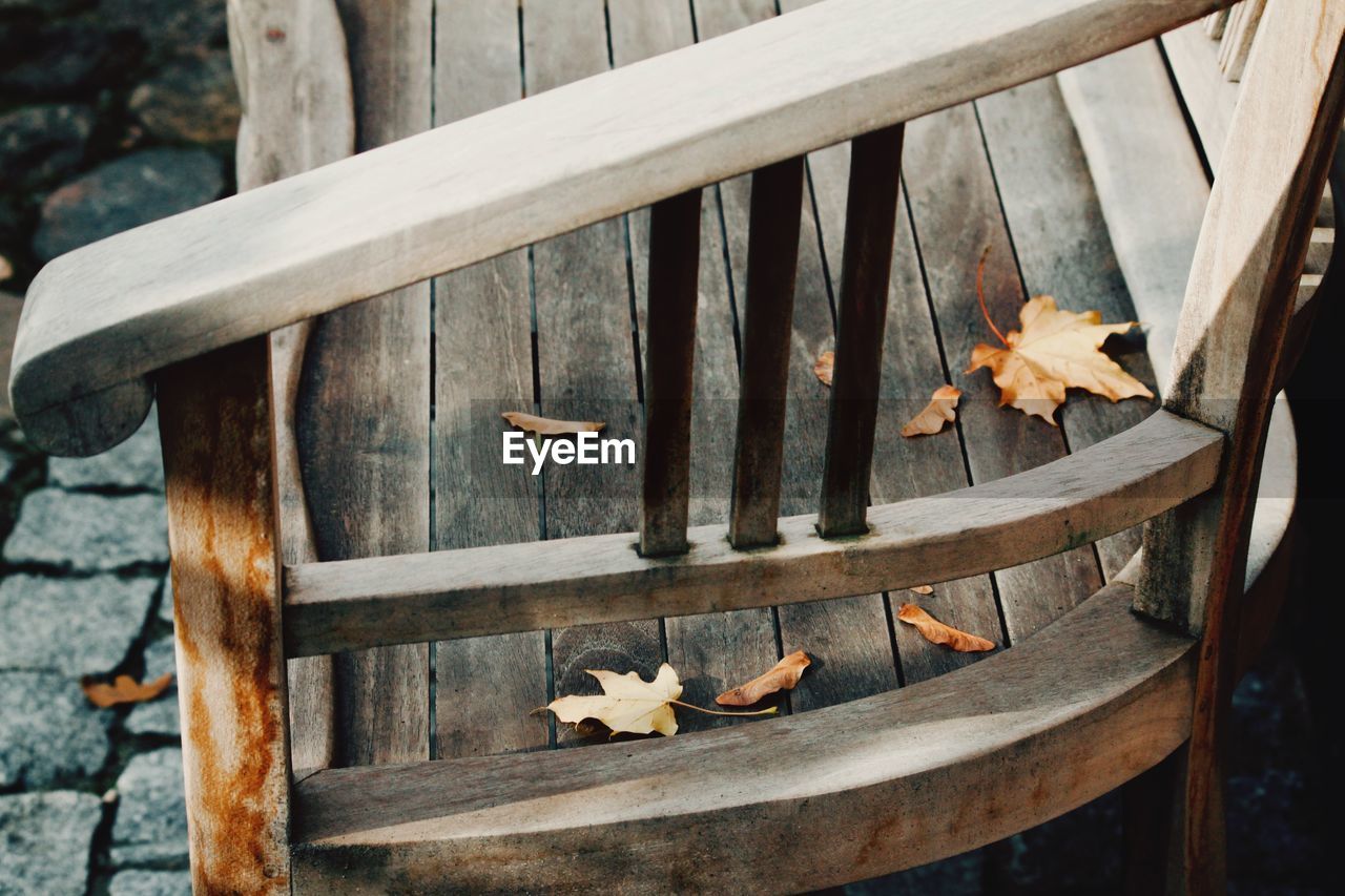 High angle view of autumn leaves on bench