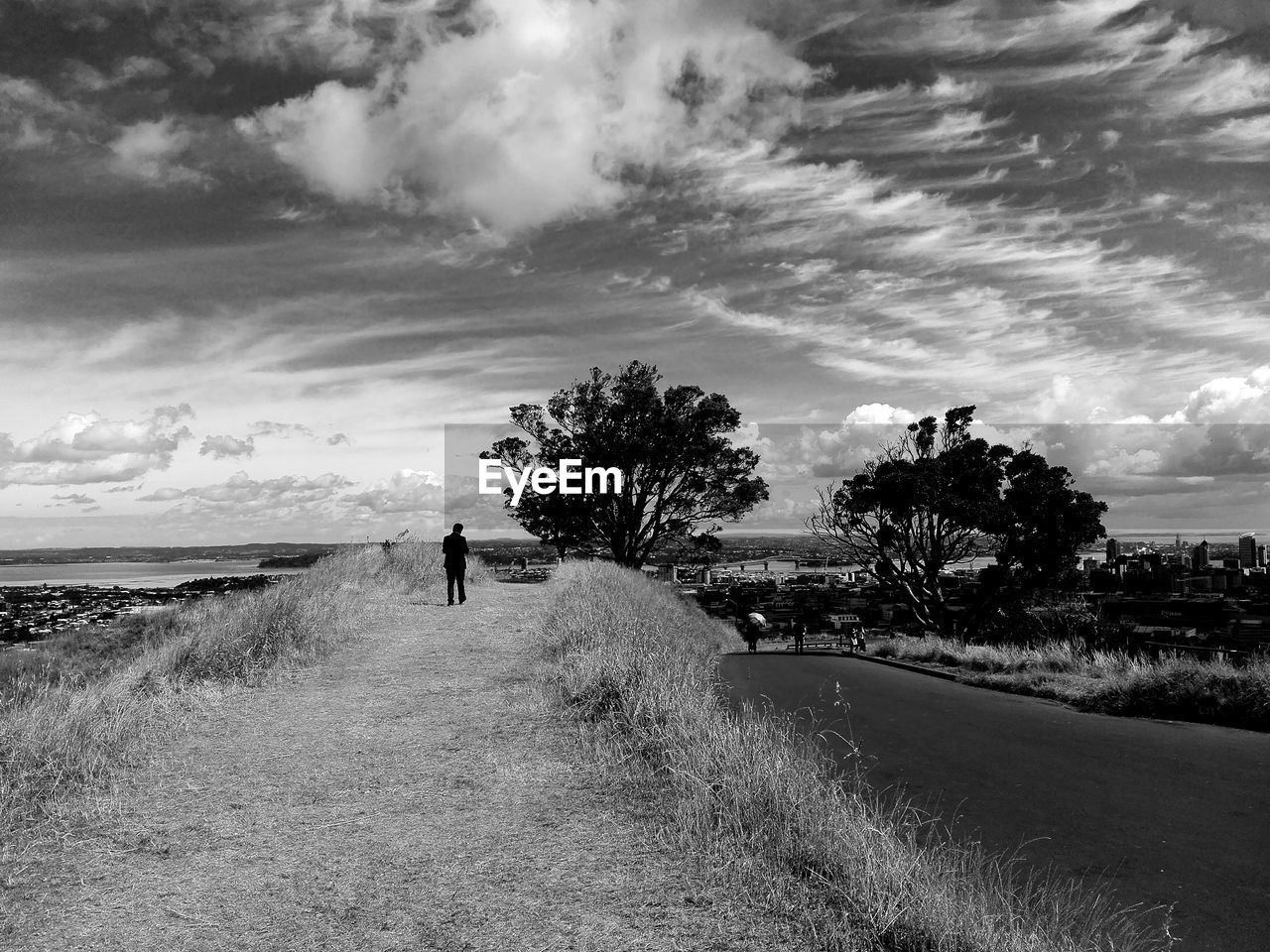 Man walking on field amidst plants against sky