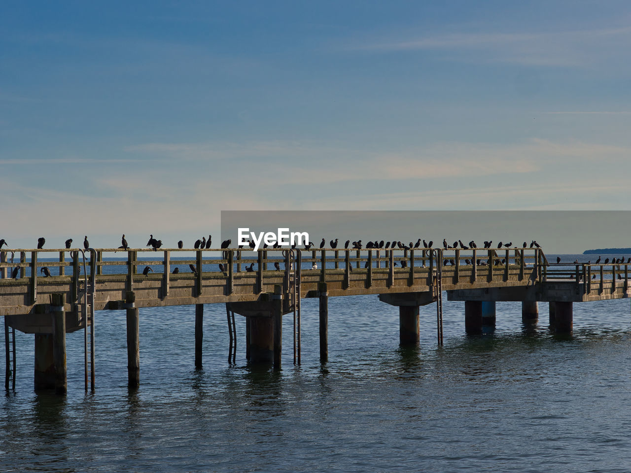 Wooden posts on pier over sea against sky with birds 