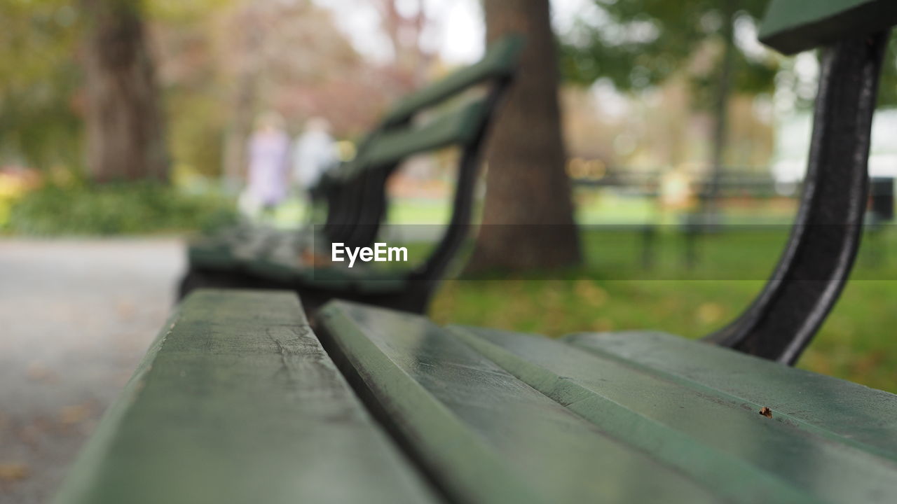 green, plant, tree, day, bench, nature, no people, selective focus, park, wood, park - man made space, seat, outdoors, focus on foreground, park bench, close-up, absence, tree trunk, leaf