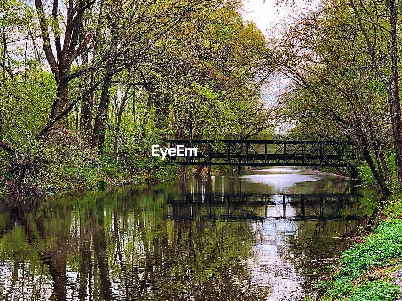 SCENIC VIEW OF LAKE