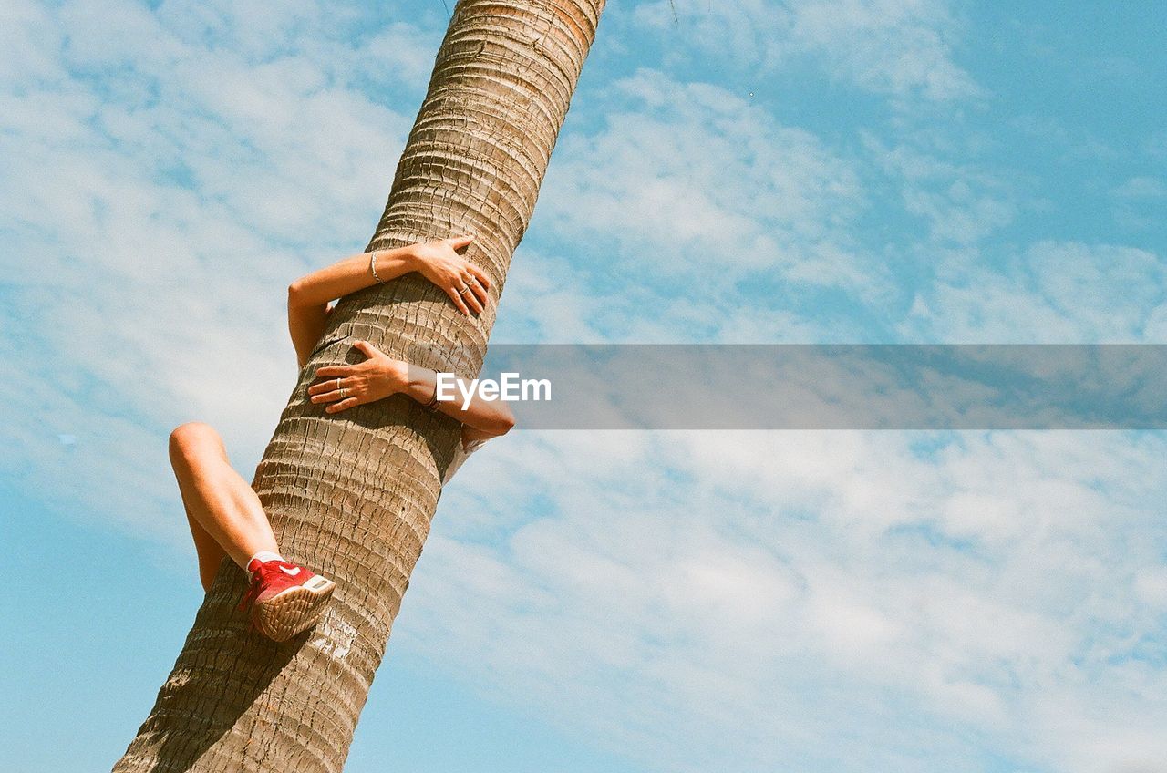 Low angle view of woman climbing on tree