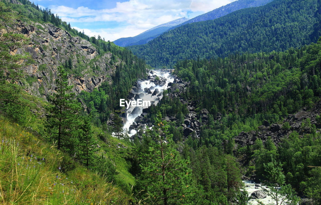 Alpine waterfall in a mountain gorge in summer, with trees, stones, rocks and grass, sky with clouds