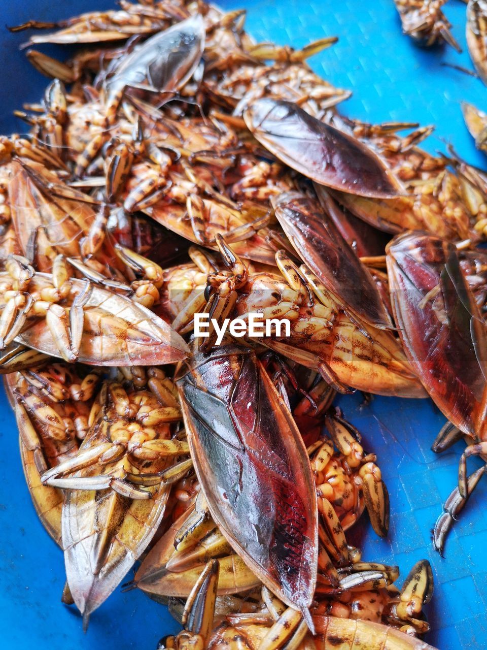 HIGH ANGLE VIEW OF DEAD FISH FOR SALE IN MARKET