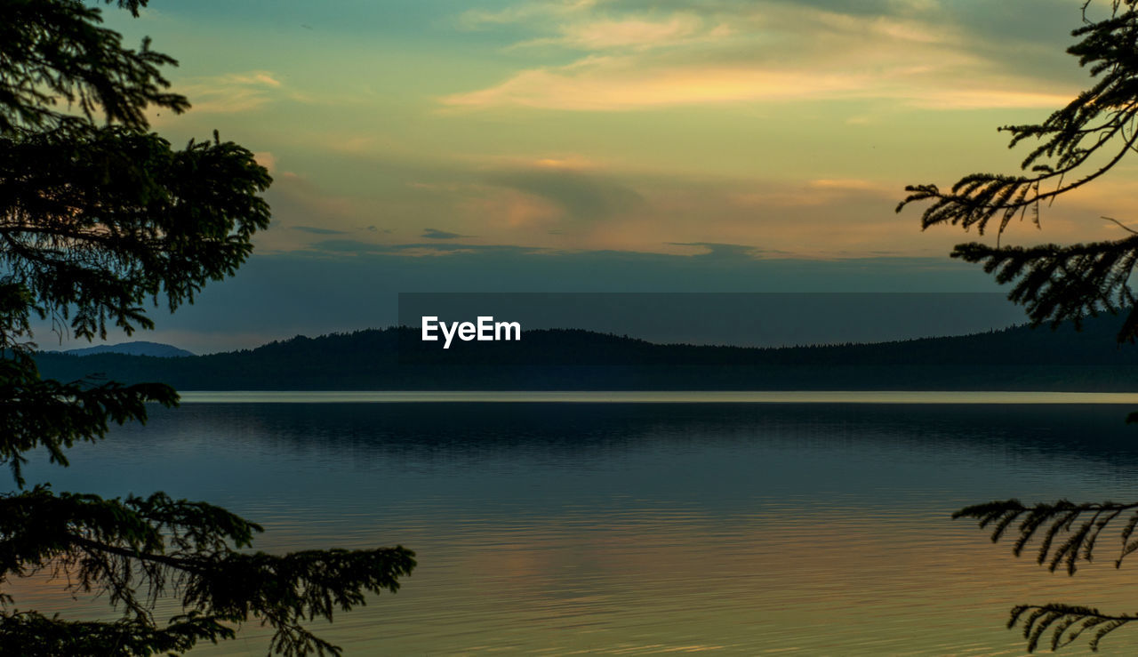 SILHOUETTE TREE BY LAKE AGAINST SKY DURING SUNSET