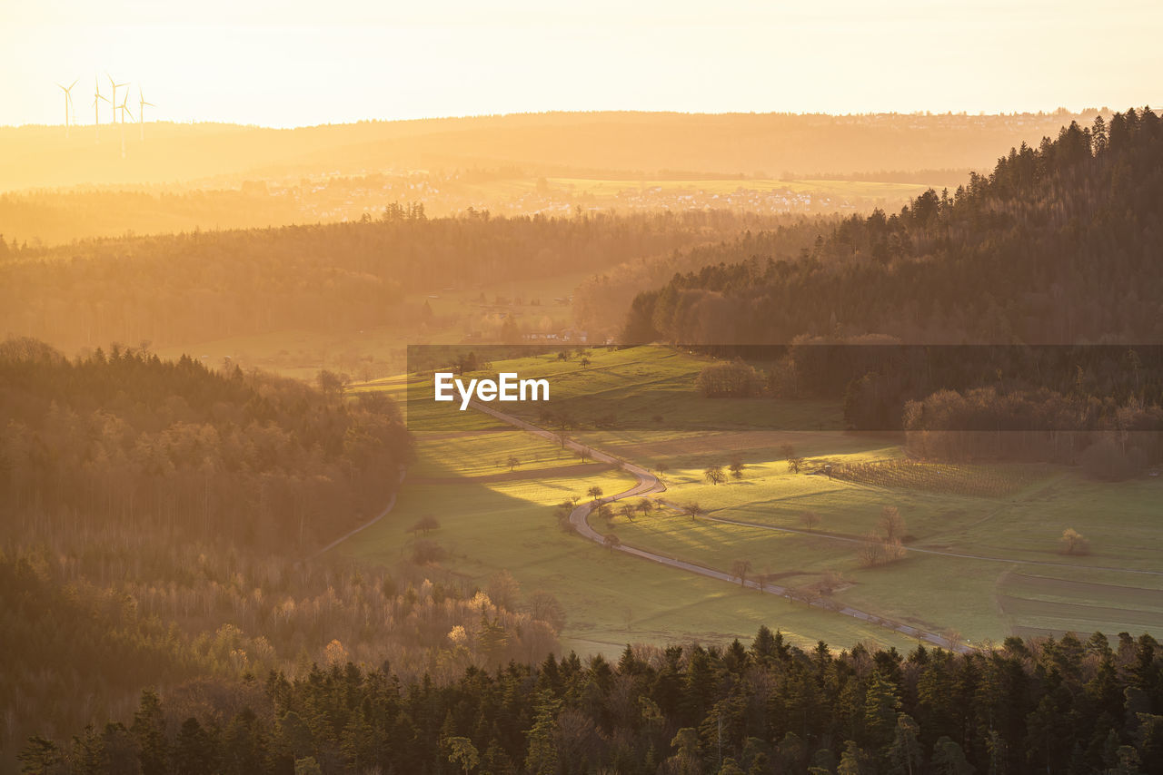 Country road in the black forest in the morning sun