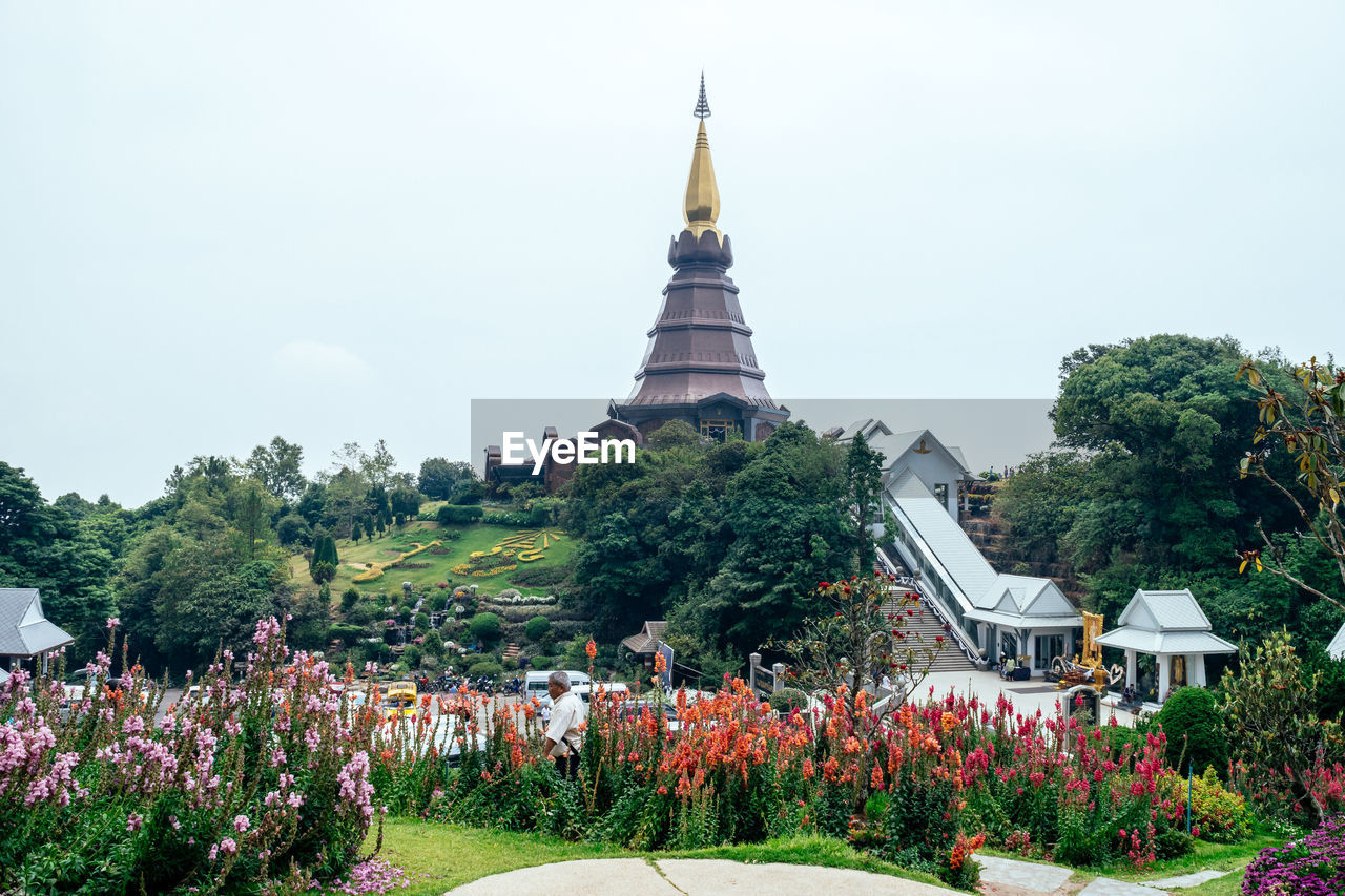 VIEW OF FLOWERING PLANTS OUTSIDE TEMPLE