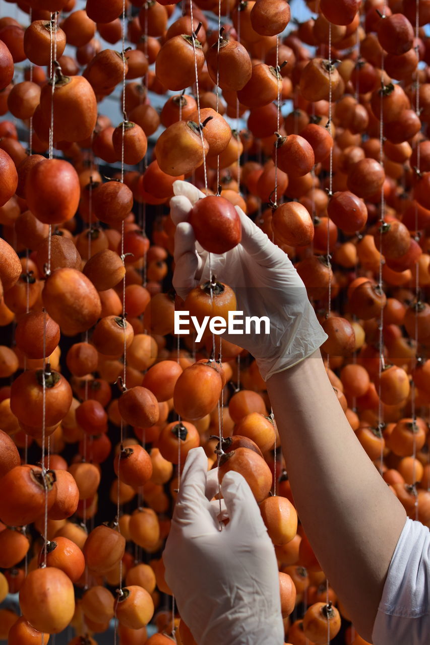 Cropped image of hands holding fruits hanged on string