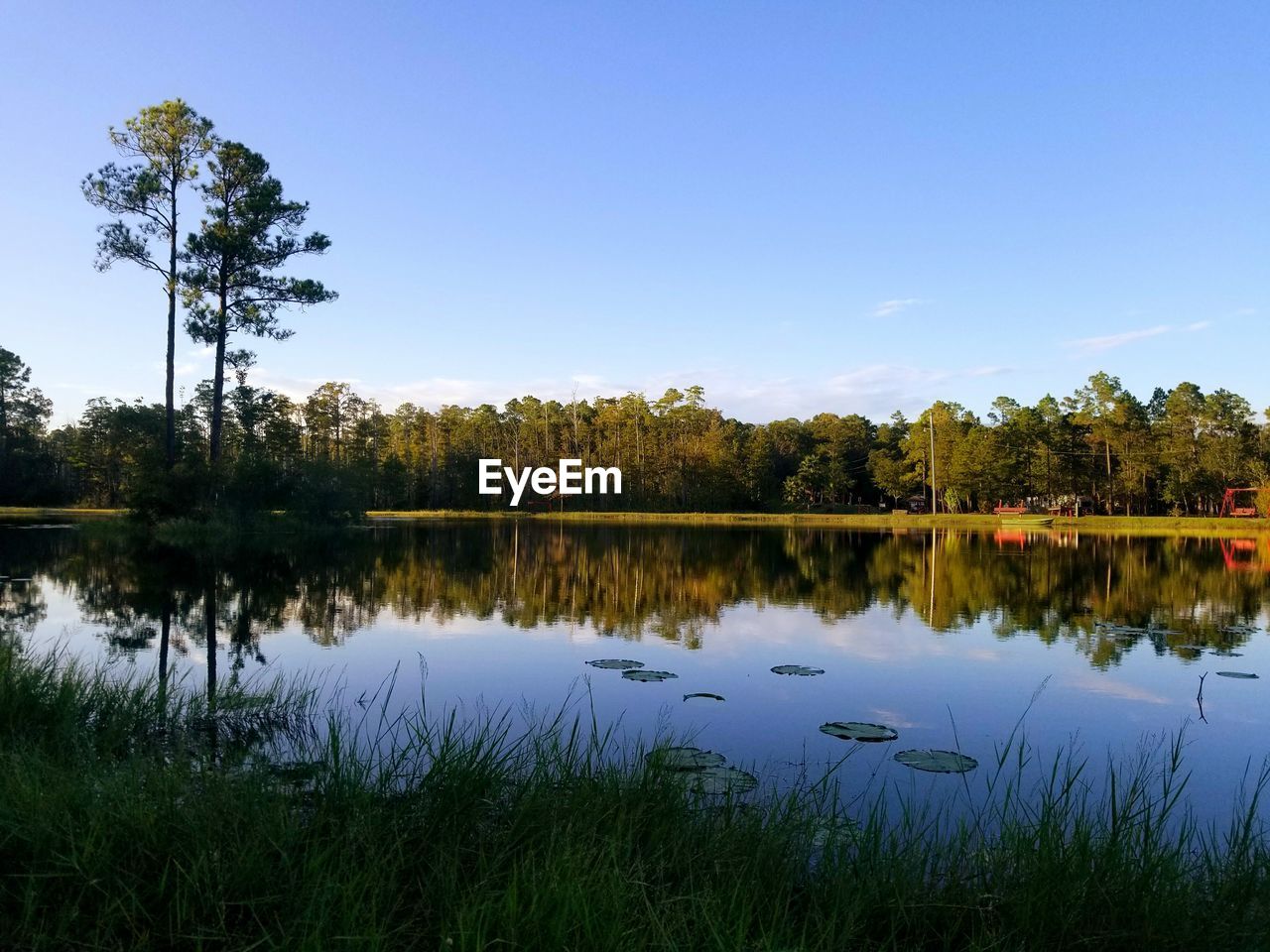 SCENIC VIEW OF LAKE AGAINST TREES