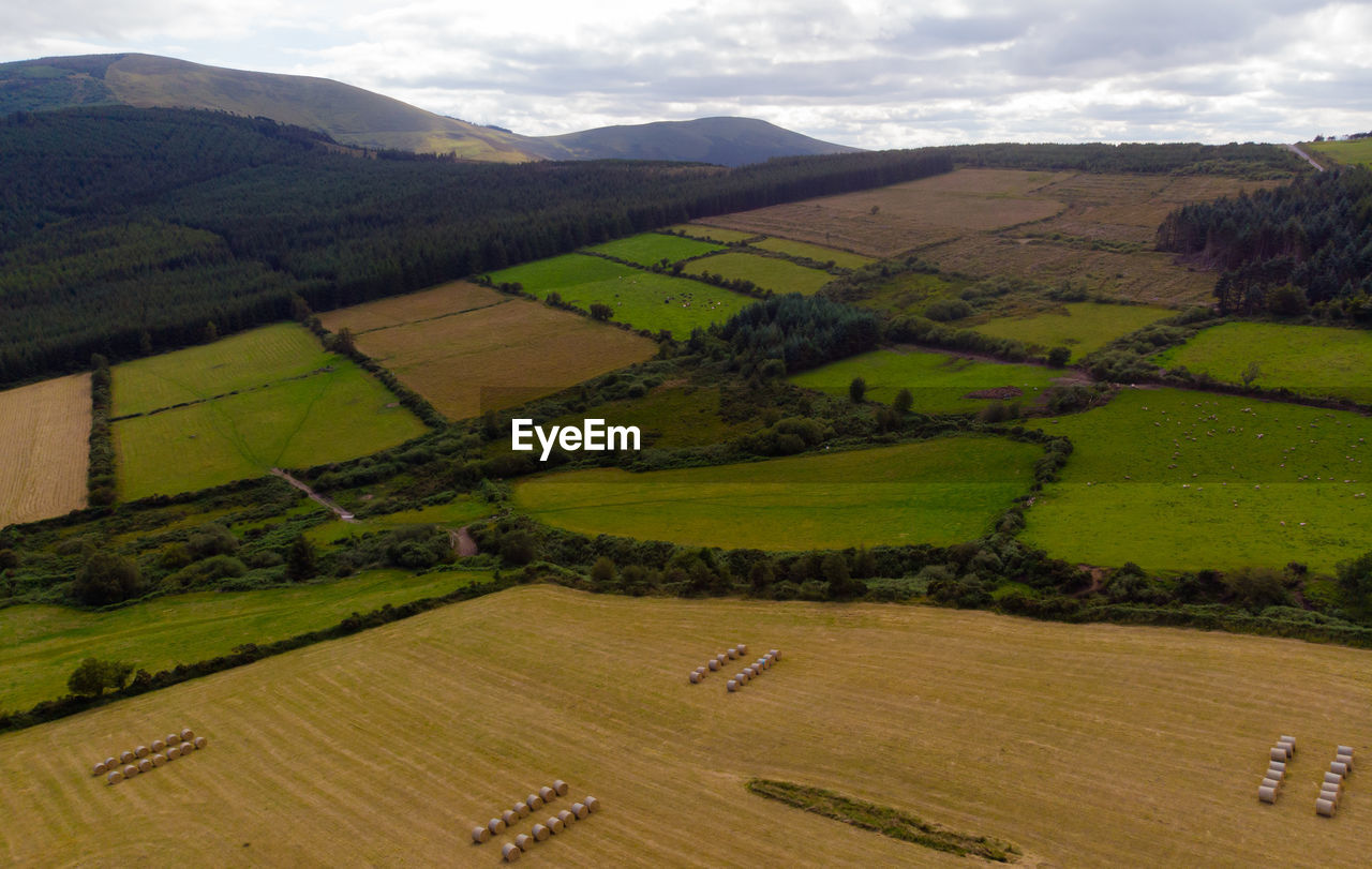 SCENIC VIEW OF FARM